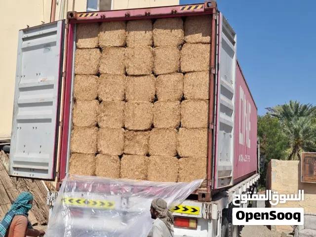 الحمد لله التبن الجديد والنظيف باكستاني موجود