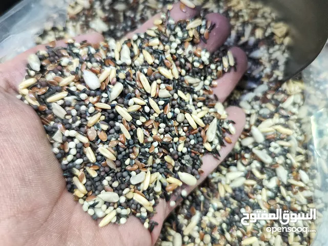 خلطه طائر الحسون من اجود الانواع بضاعه اوروبيه مستورده