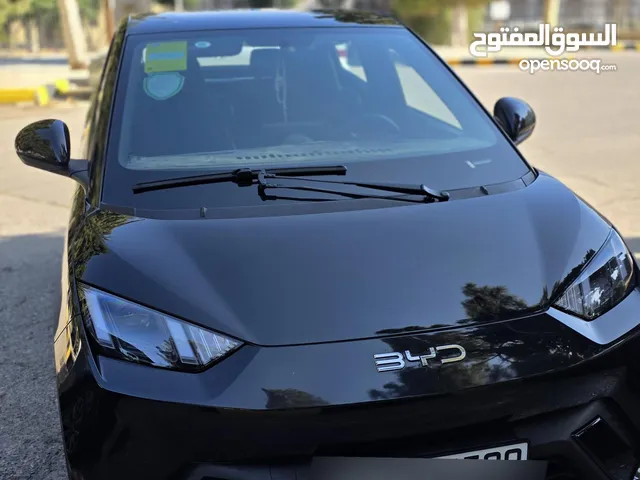 Used BYD Seagull in Amman