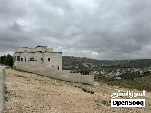 Residential Land for Sale in Zarqa Birayn