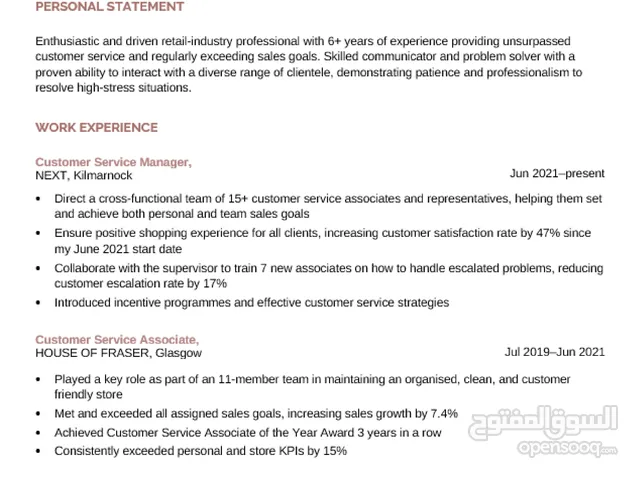 Cv Professional ATS (Resume Writing) كتابة سيفي محترف
