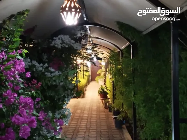 RestHouse AlBaida استراحة للراحة والاسترخاء