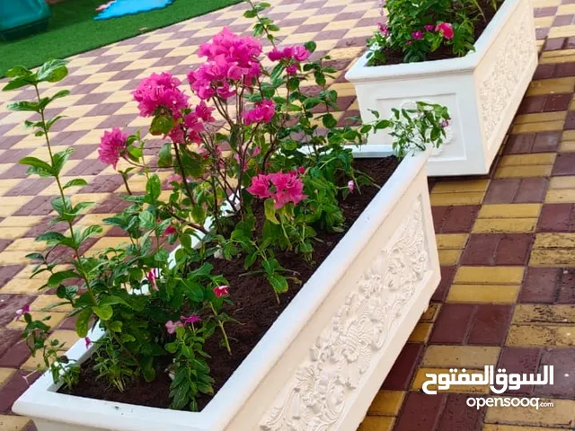 احواض زراعه ديكور