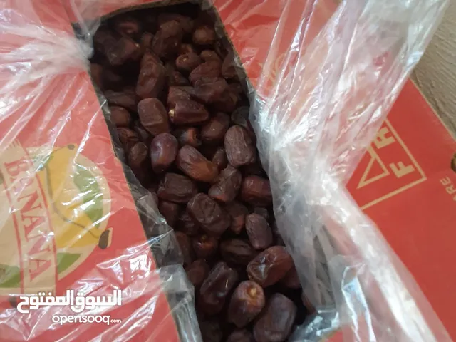 Premium Dates from the Finest Farms of Bandar Abbas, Iran