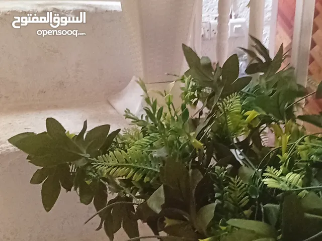 ورد للبيع مع سندانه كبيره ورد اصطناعي