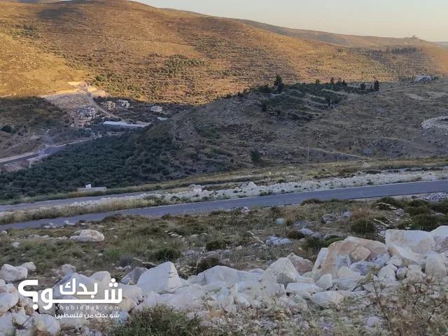 Mixed Use Land for Sale in Nablus Beit Imreen