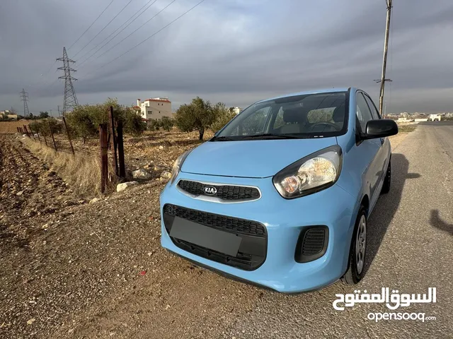 Used Kia Picanto in Amman