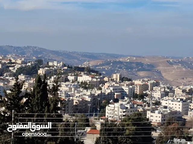 Residential Land for Sale in Amman Al Kamaliya