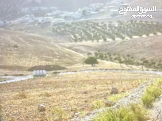 Residential Land for Sale in Zarqa Birayn