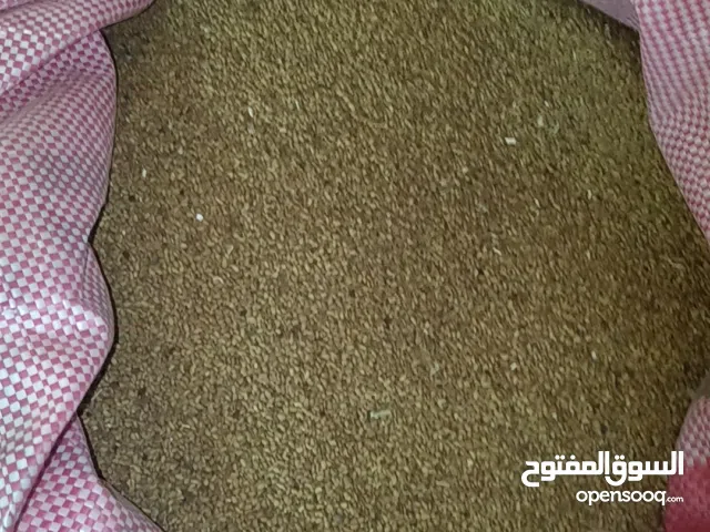 السلام عليكم يتوفر بذر قت عماني اصلي  المن الواحد