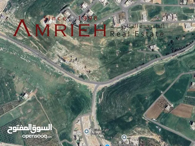 Residential Land for Sale in Amman Al-Dmenah