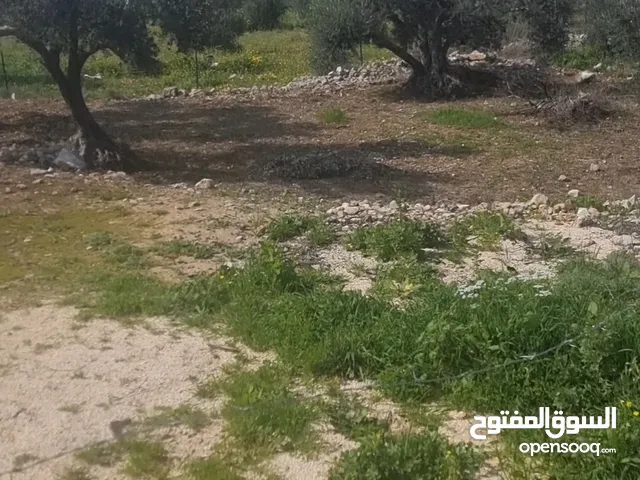 ارض نصف دونم مسطحه  طابو كدوم موقع ممتاز للبناء وتصلها جميع الخدمات