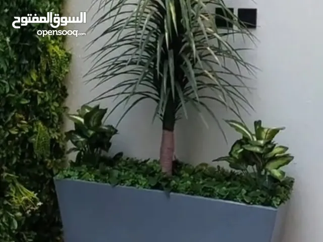 مراكن _مركن _ احواض _ حوض اصيص زراعي كبير