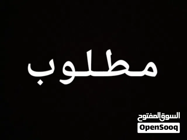مطلوب خروف  ميفوتش 1600