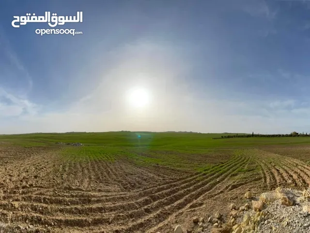 Farm Land for Sale in Amman Jelul