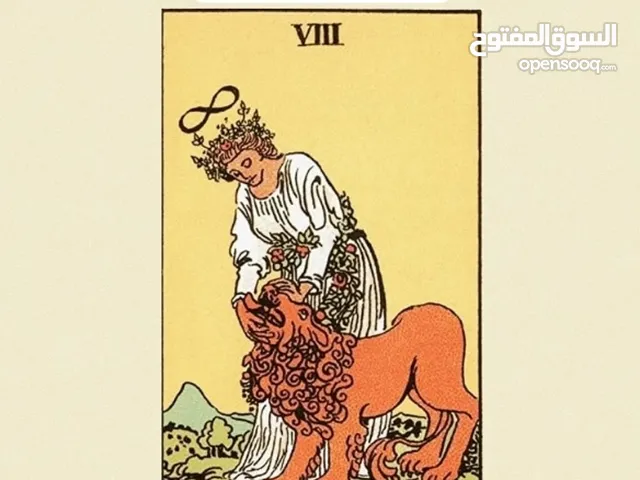 شدة تاروت ،tarot cards