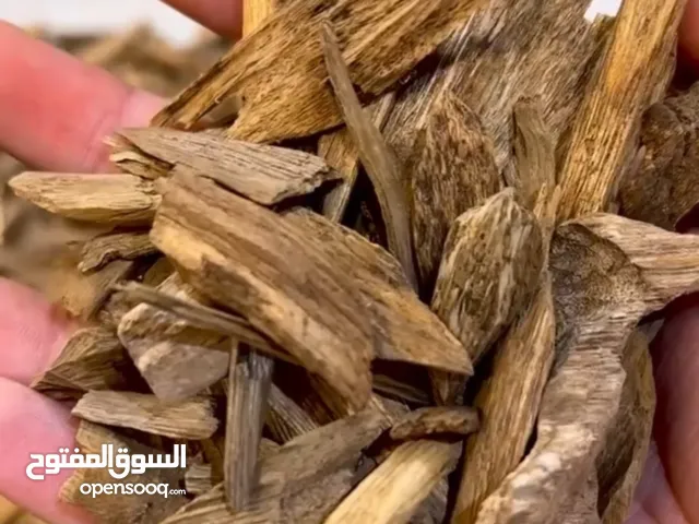 كيلو عود مروكي طبيعي بسعر الجملة