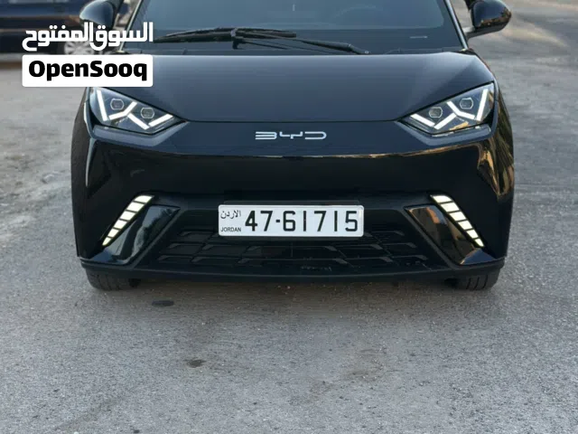 2024 BYD Seagull