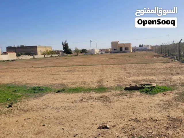Residential Land for Sale in Mafraq Al-Dajaniya