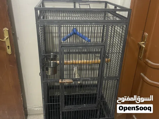 قفص للبيع