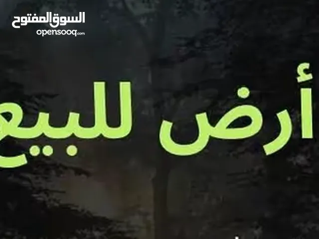 ارض للبيع شارع القدس تل النصبه