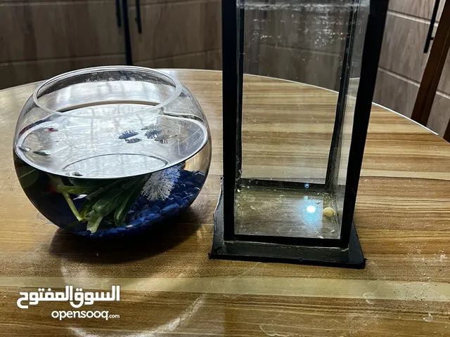 حوضين سمك للبيع او للبدل على اي اشي