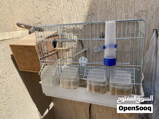 سلام عليكم قفص طيور اجديد