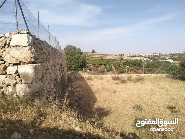 قطعة ارض للبيع