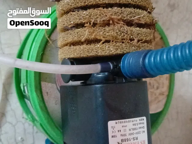 انارة احواض مزروعه مع تايمر ومضخة فلتر 18 واط وسمكه رامريزي بالون