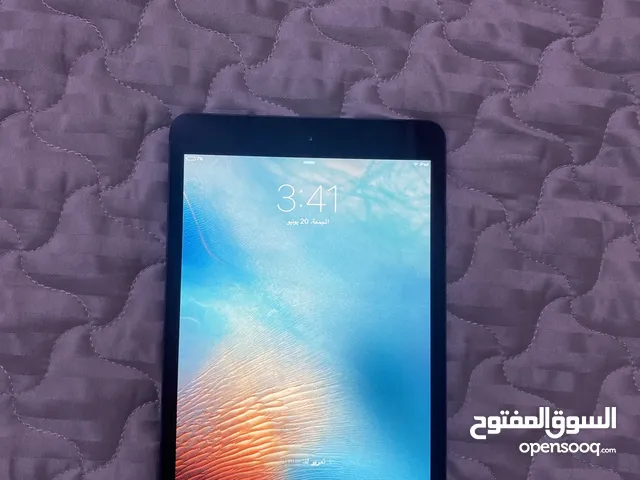 iPad mini 1