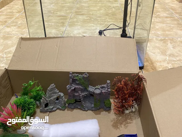حوض سمك مستعمل ثلاث شهور مافيه اي عيب يجي معاه اكسسوارات جميله من امزون و أدوات تنظيف الحوض