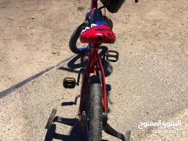 بسكليت امريكي