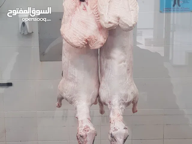 قصاب تحت الطلب +زبايح للبيع مع التوصيل جميع مناطق الكويت