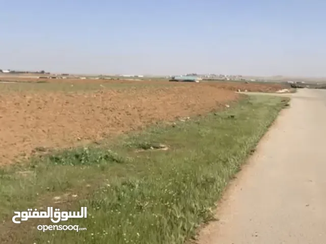 Residential Land for Sale in Amman Al Tuneib