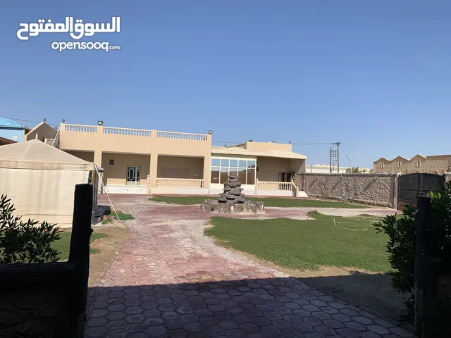 جاخور جبد قطعة 13