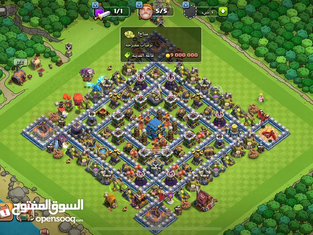 تاون هول 12 ماكس