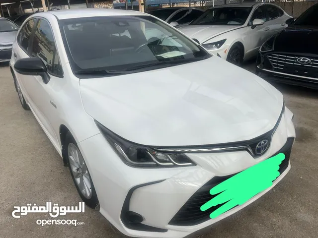 Used Toyota Corolla in Amman