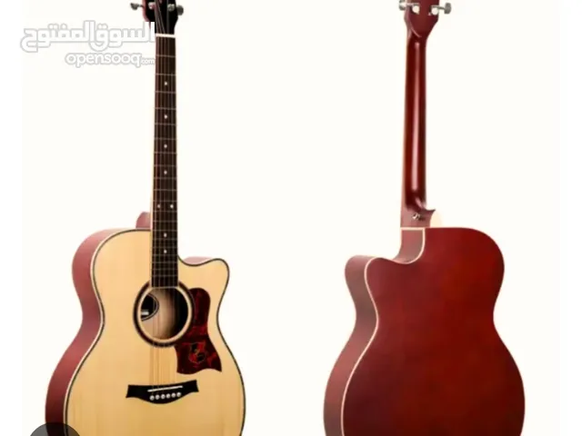 Acoustic Guitar