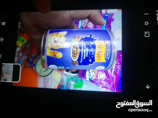 يوجد لدي انواع من أكل القطط
