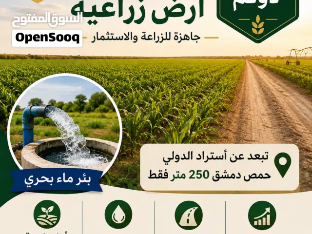 Farm Land for Sale in Homs Other