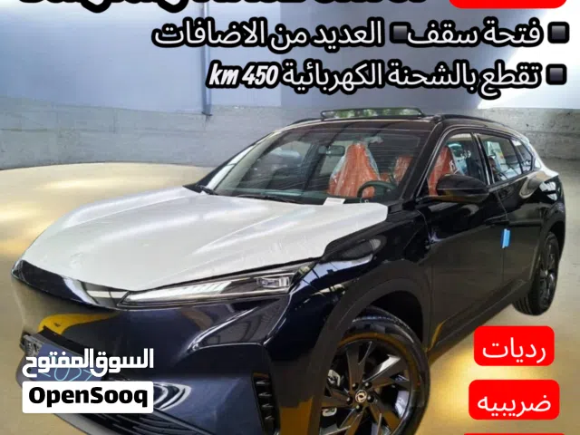2027 دونج فينج سكاي EV01