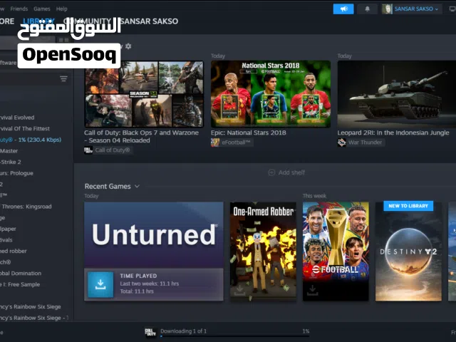 Steam Accounts and Characters for Sale in Al Jahra