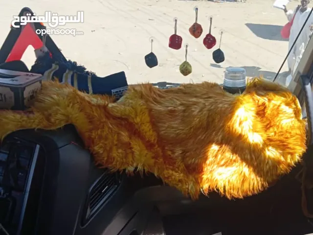 Used Hyundai Other in River Nile