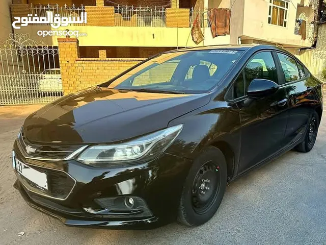 شوفر كروز 2017 رقم بغداد