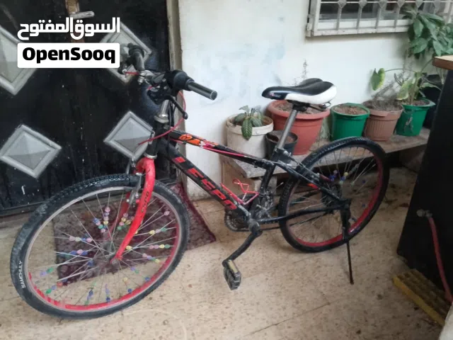 بسكليت جنط 24