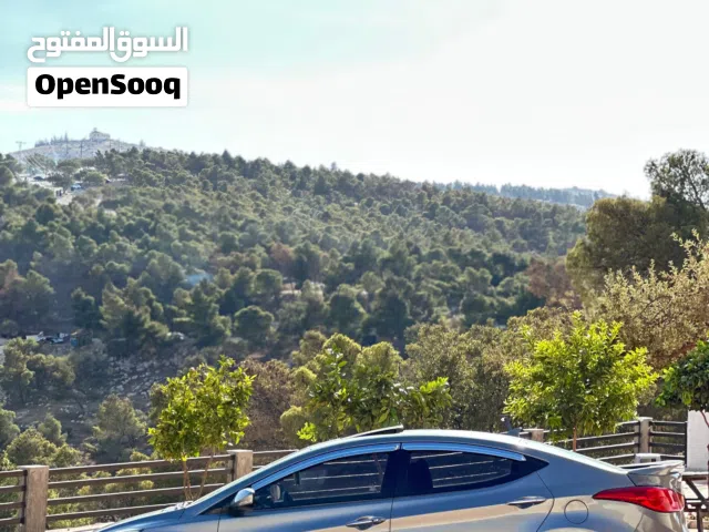 2012, Hyundai, Avante, Standard