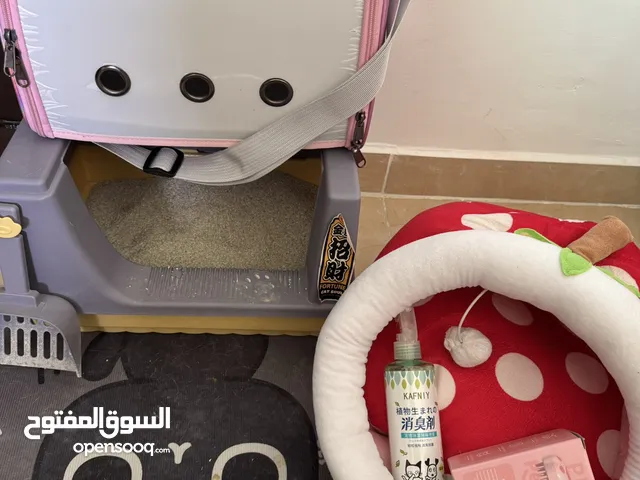 مستلزمات قطط