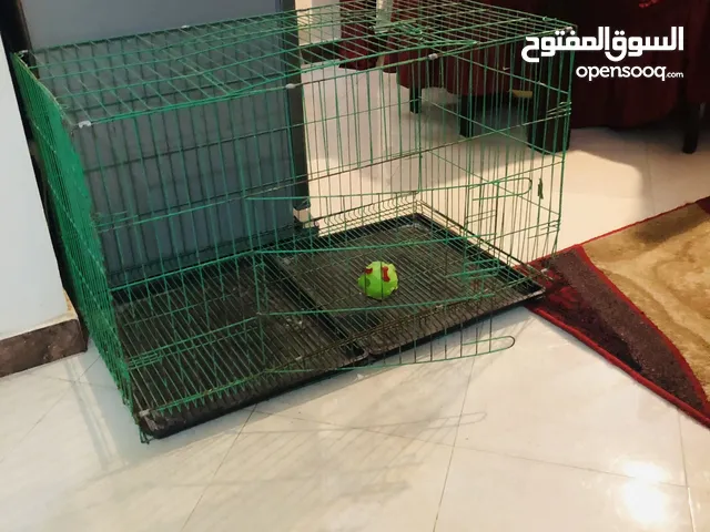 قفص كلاب كبير بحالة جيدة