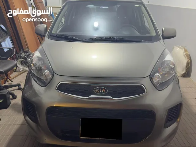 Used Kia Picanto in Alexandria