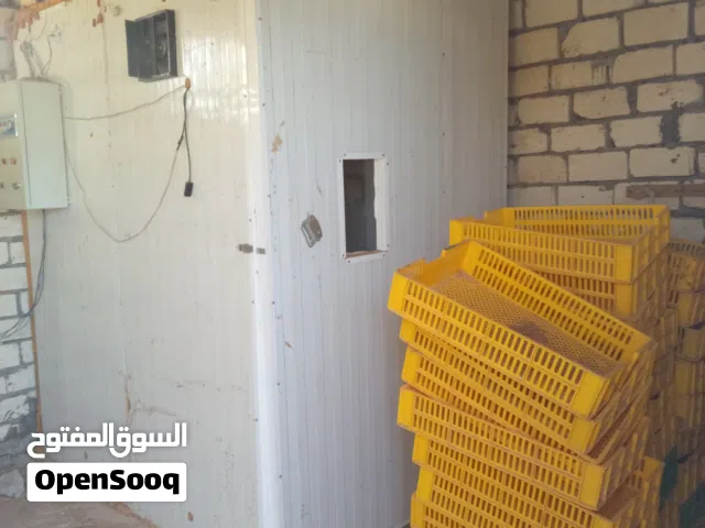 للبيع معمل  تفريخ تصنيع محلي حمولة 9120